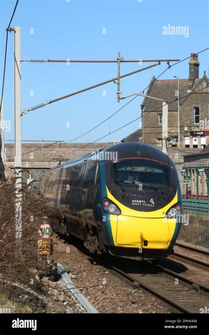 Dr Stone Ending Explained, Season 3 Release Date, and Plot