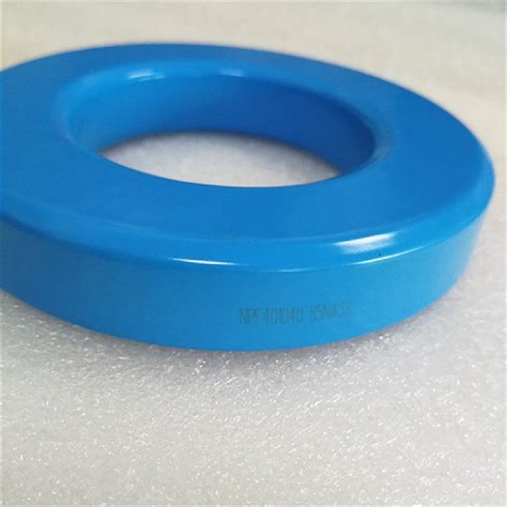 Kelly Barlow Missing Update : Where was Kelly Barlow last seen? Search for missing Lee County woman