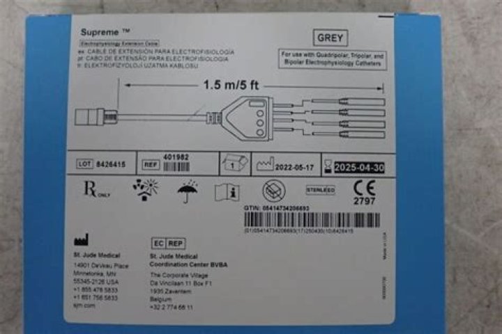 "Exploring Amber Heard's Cultural Background: What is Her Ethnicity?"