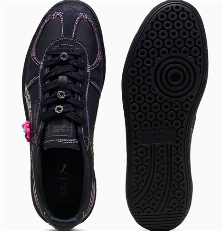 Norma Lizbeth Fight video sparks controversy on internet