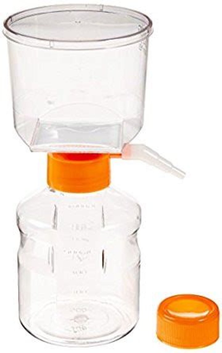 Alix Earle's Age Revealed: A Glimpse into the Life of the 22-Year-Old TikTok Sensation - SarkariResult