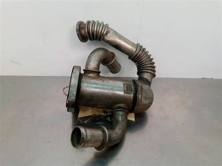 Robin Roberts' Personal Life: Partners and Rumors - SarkariResult