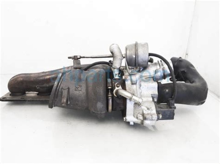 Irish Grinstead's Passing: Understanding Her Battle with Kidney Failure - SarkariResult