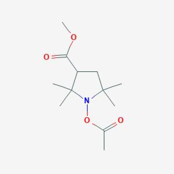 The Most Dangerous Dogs in 2023: American Pit Bull Terrier Makes the List - SarkariResult