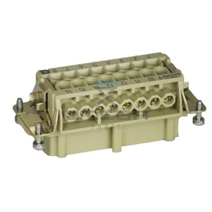 We Who Are Young (1940): Relevance in Today's World - SarkariResult