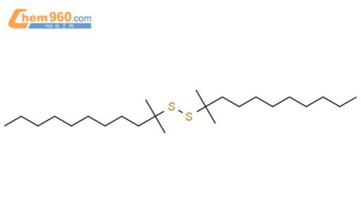 A Glimpse into Saif Ali Khan's First Marriage with Amrita Singh - SarkariResult