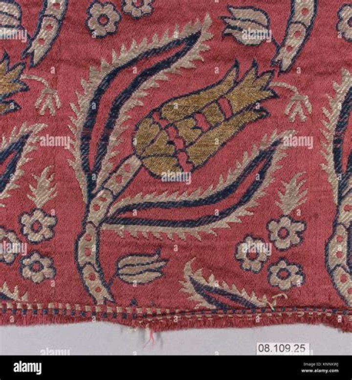 Joe Alwyn's Height Revealed: Unraveling the Truth about the K-Pop Star - SarkariResult