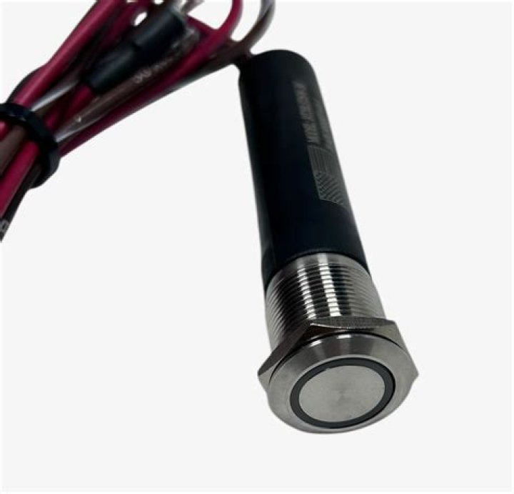 Natalie Hall Net Worth: Details About Gf, Career, Film, Earnings, Car, Age - SarkariResult