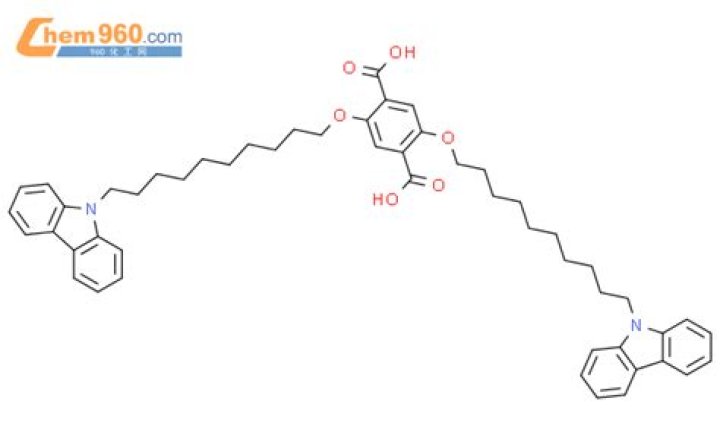 Anthony Fauci Net Worth: Details About Political, Income, Gf, Age, Career - SarkariResult
