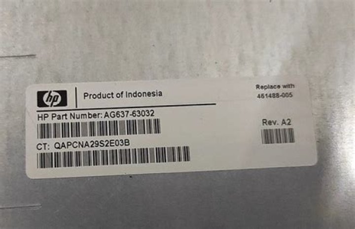 Steve Harwell Net Worth: Details About Height, Wife, Song, Age, Band, Son - SarkariResult