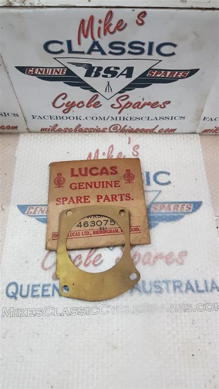 Gigi Pritzker Net Worth: Details About Earnings, Assets, Bf, Age, Films - SarkariResult