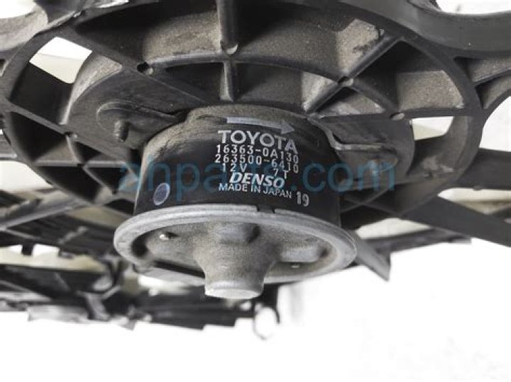 Camila Morrone Net Worth: Details About Husband, Parents, Movies, Age - SarkariResult