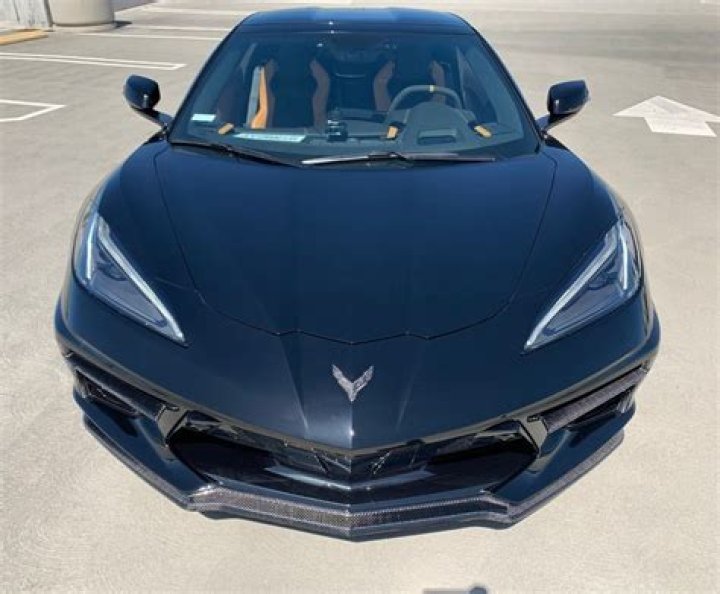 Adrianne Curry Net Worth: Details About Home, Career, Modeling, Income - SarkariResult