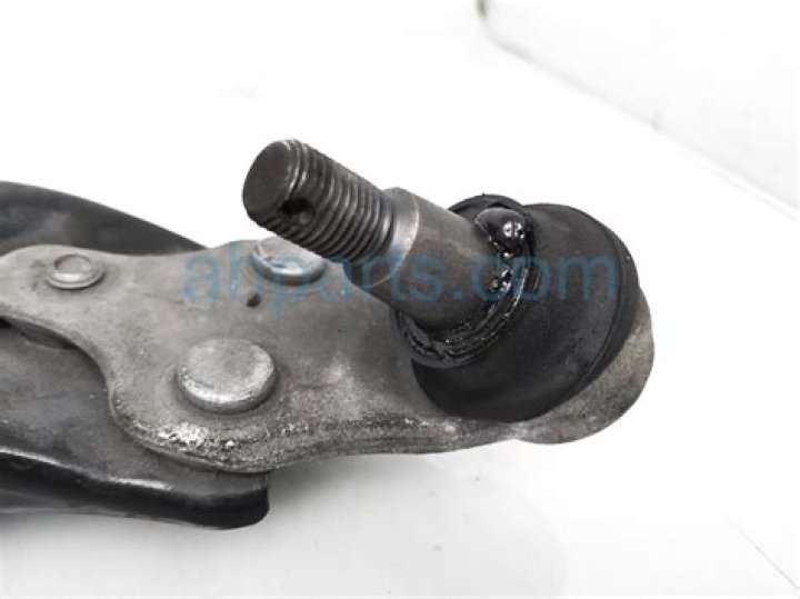 Marie Bouzkova Net Worth: Details About Income, Career, Tennis, Home - SarkariResult