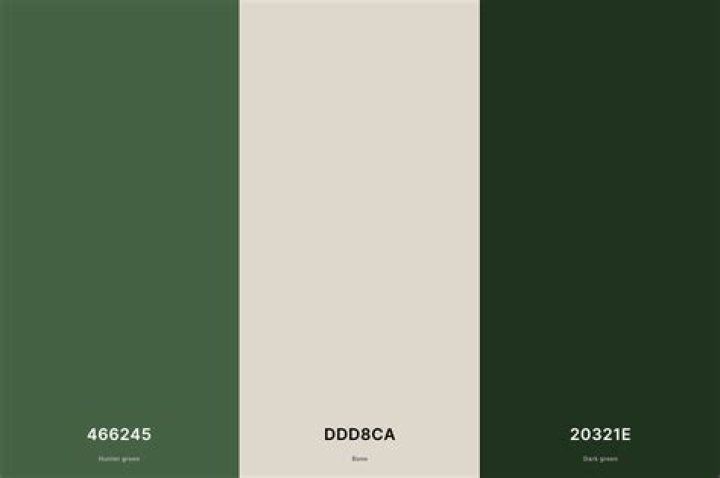 Forza Motorsport 8 Stuck on Loading Screen: Troubleshooting Tips - SarkariResult