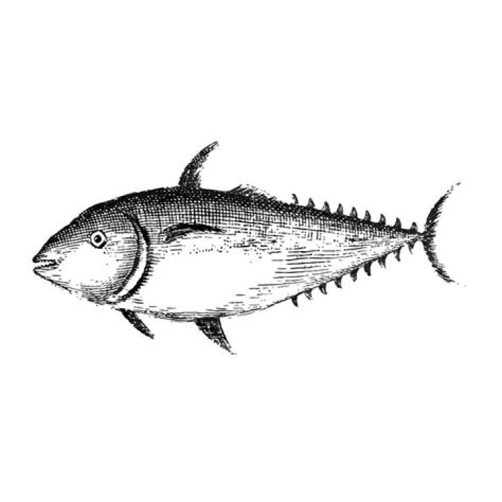 Vivek Ramaswamy Net Worth: Details About Home, Wife, Family, Parents - SarkariResult