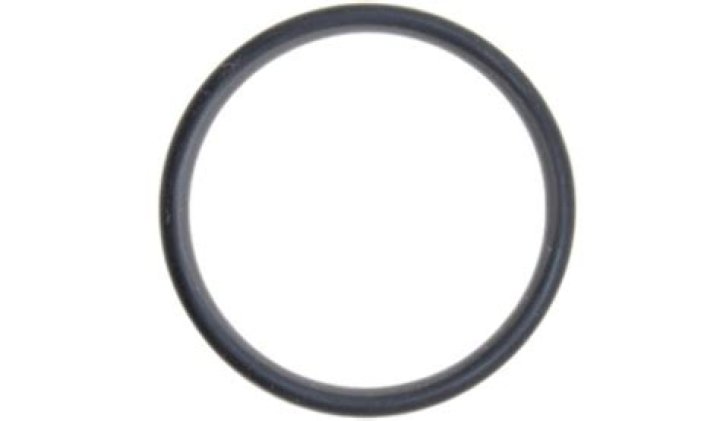 Hailee Steinfeld Net Worth: Details About Movie, Career, Bf, Age, Income - SarkariResult