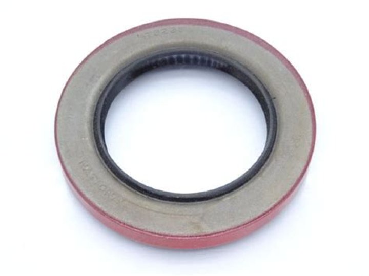 Elizabeth Gillies Net Worth: Details About Age, Career, Movie, Income - SarkariResult