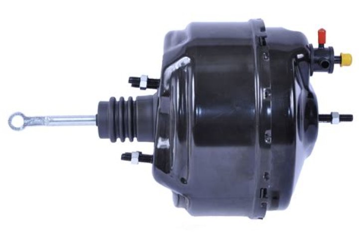 Jennifer Capriati Net Worth: Details About Age, Income, Tennis, Career - SarkariResult