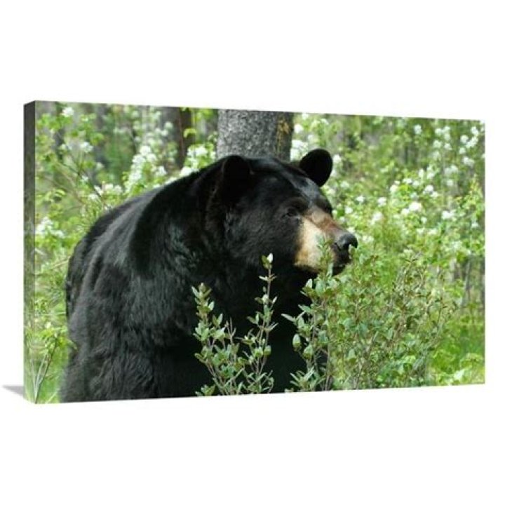 SSI Payment Schedule: Will There Be a Fourth Stimulus Check? - SarkariResult