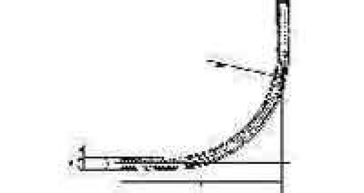 Who is Karl Saad? Pace University student captured on video tearing down posters depicting kidnapped Israeli children. - SarkariResult