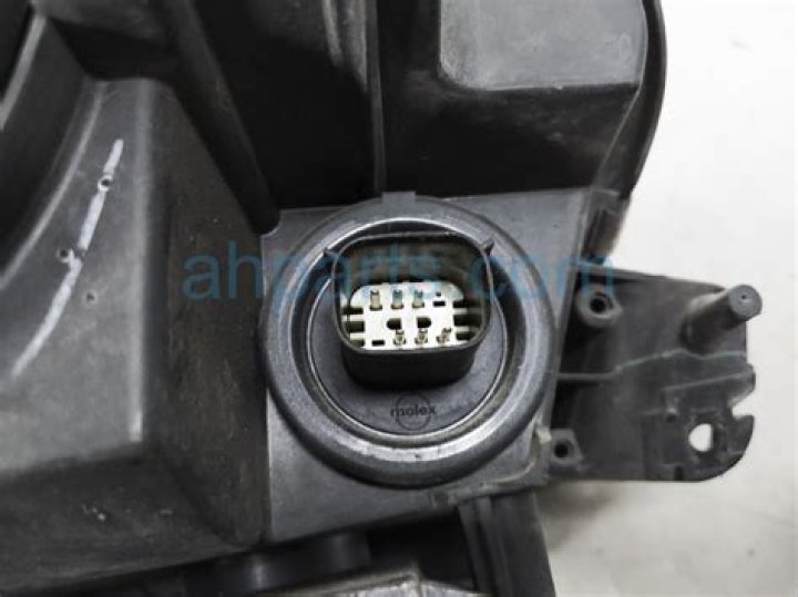 Belle Delphine No Makeup Look : Plastic Surgery Before And After - SarkariResult