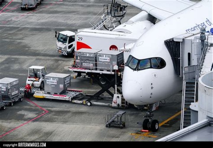 Creating the Best Holger 556 Loadout in COD MW3: Holger 556 Build Guide - SarkariResult