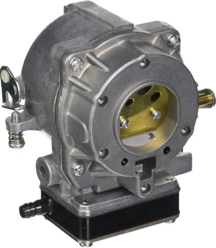 Halle Berry Ethnicity, What Is Halle Berry Ethnicity? - SarkariResult