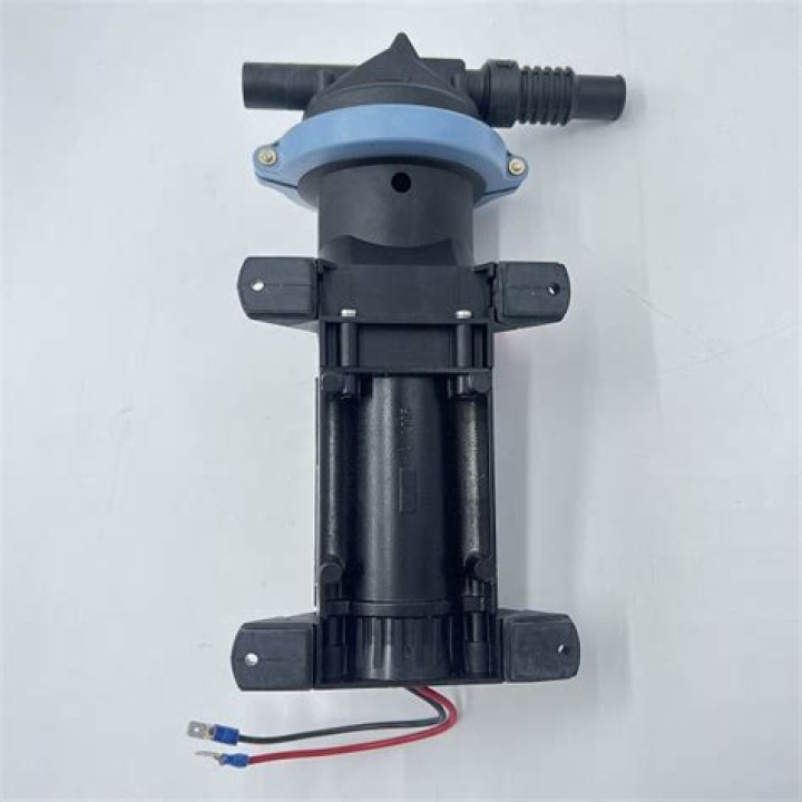 Angel Reese Posts PDA-Filled Video With Boyfriend Cam’Ron Fletcher - SarkariResult