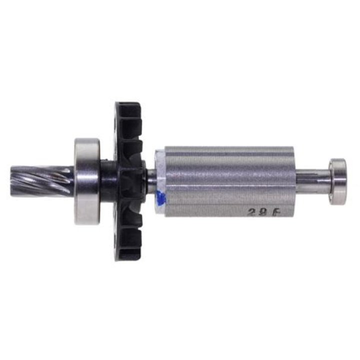 What Happened to Sadie Robertson: Exploring Sadie Robertson's Age, Early Life, and More - SarkariResult