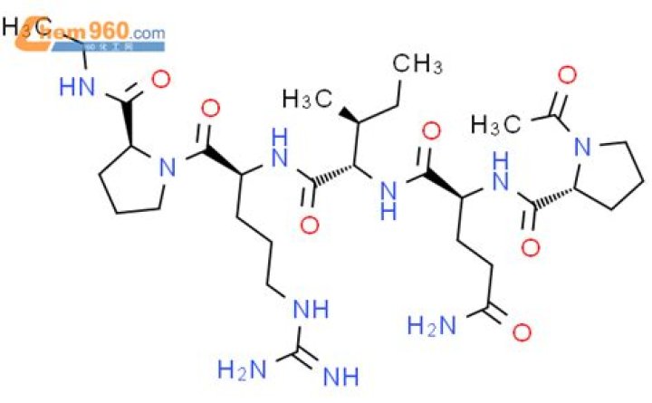 Top 9 Most Exciting Museums Of Chicago, Illinois: Best Places To Explore - SarkariResult