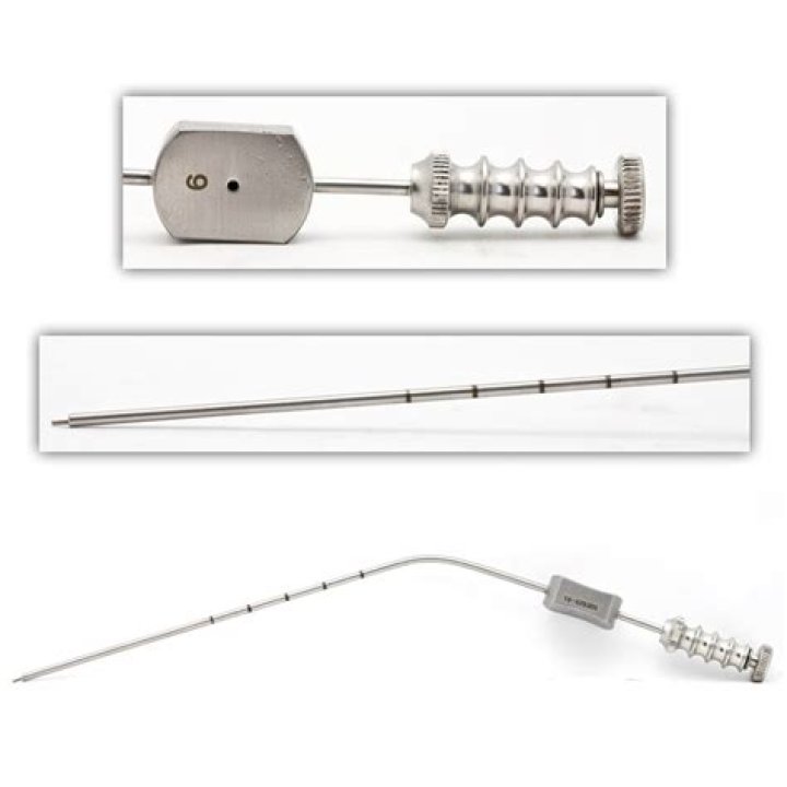 Video of Draymond Green Punching Nurkic, Full Clip - SarkariResult