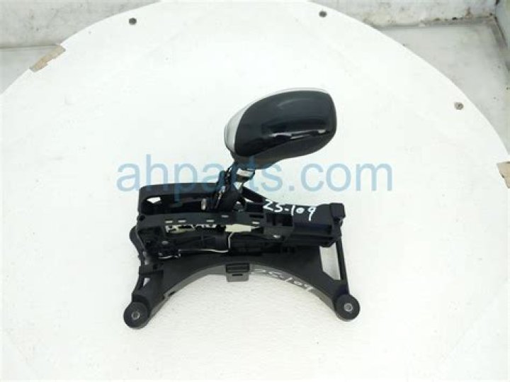 Pokemon Indigo Disk: Evolving Rhyhorn to Rhydon & Rhyperior - SarkariResult