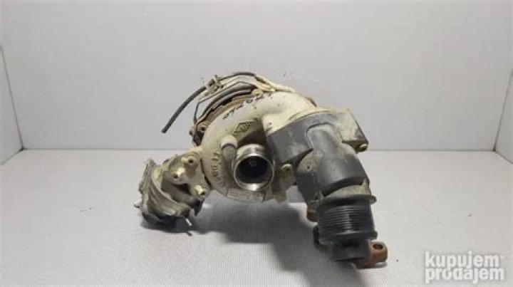 Andrea Kolbe's Obituary & Cause Of Death: Who Was Andrea Kolbe? What Happened to Andrea Kolbe? - SarkariResult