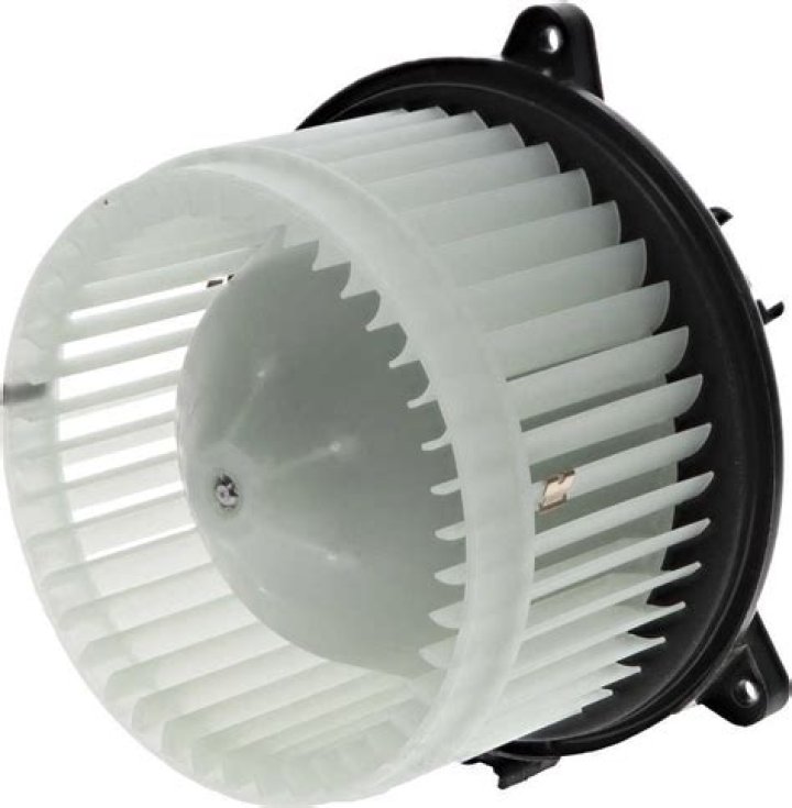 Mark Scheibal Death Cause And Obituary : Los Angeles Ca Mark Scheibal Has Passed Away - SarkariResult