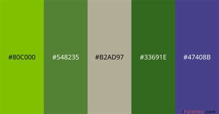 Has Jason Trask Passed Away? Investigating the Circumstances Surrounding Jason Trask's Situation. - SarkariResult