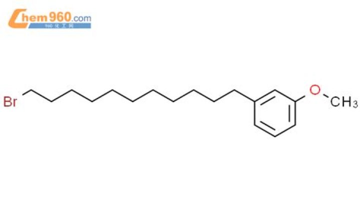 Paddy Pimblett's Weight Transformation: Before and After, Unveiling Paddy Pimblett's Weight Loss Journey - SarkariResult