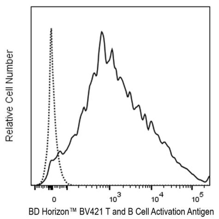 Kerri Roger's Obituary & Cause Of Death, Who Was Kerri Roger? What Happened to Kerri Roger? - SarkariResult