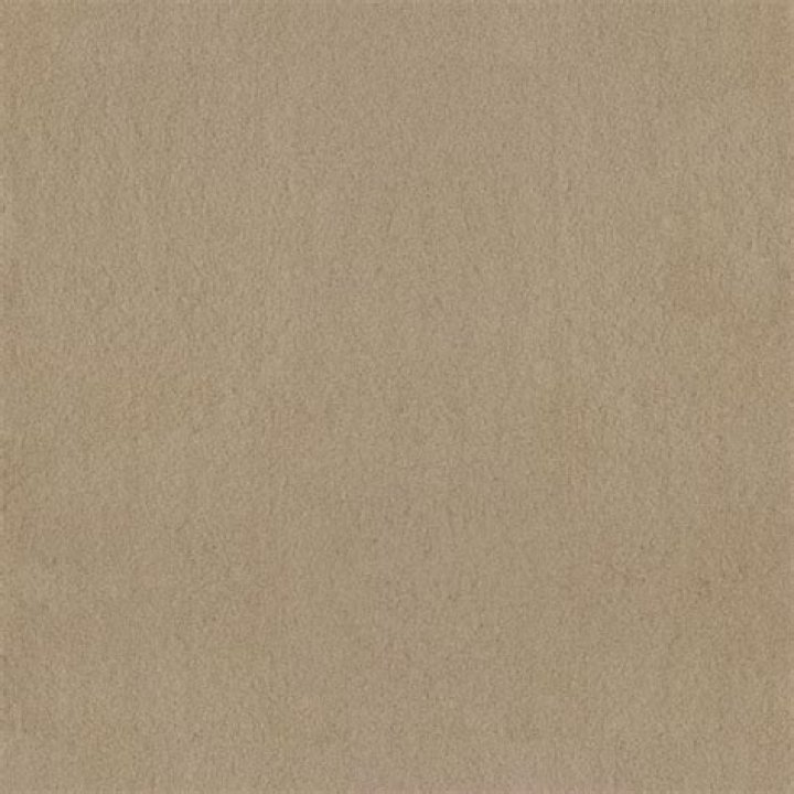 Thomas Massie's Remarkable Weight Loss Journey: Insights into His Early Life, Career, Age, and More - SarkariResult