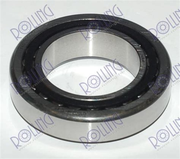 Where To Put Gecko Statue In Adopt Me Sphinx Puzzle? - SarkariResult