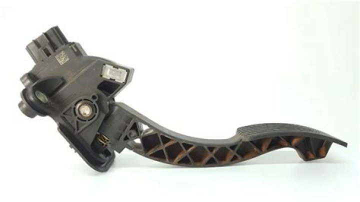 Brendan Schaub's Daughter's Health Update: What happened to Brendan Schaub Daughter? - SarkariResult