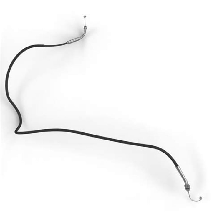 What Occurred with Heather Elvis? Delving into the Heather Elvis Investigation - SarkariResult