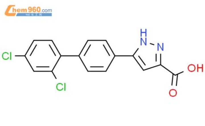 JPSC Civil Services Recruitment 2024: Apply Online for 342 Posts