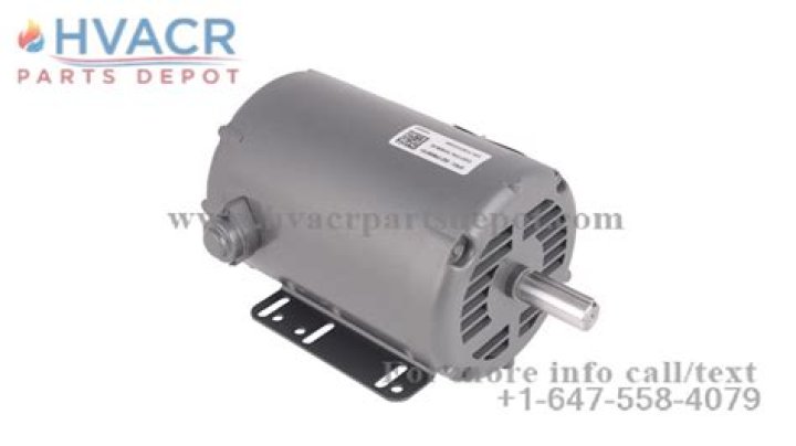 Leanne Morgan Sister Net Worth, Wiki, Parents, Ethnicity, Religion, Bio, Age, Family And More - SarkariResult