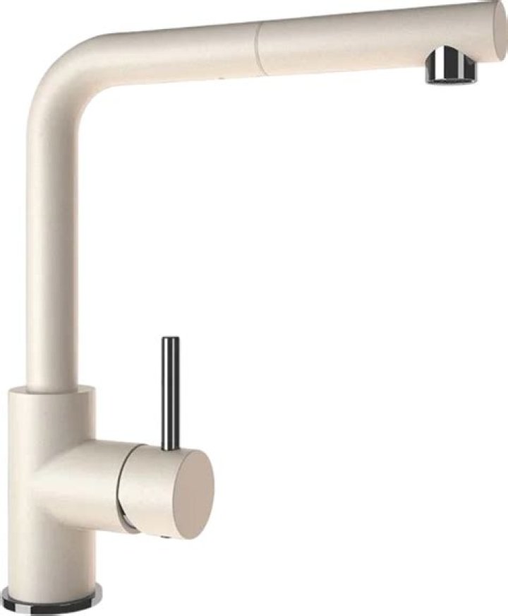 What Happened to Yoshi in Through My Window? How Did He Die? Who Plays Yoshi in Through My Window? - SarkariResult