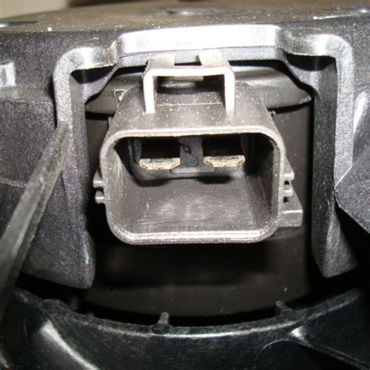 Mahogany Jackson's Obituary & Cause Of Death, Who Was Mahogany Jackson? What Happened to Mahogany Jackson? - SarkariResult