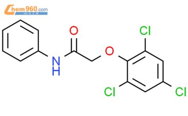How to Find Save File location in Sons of The Forest? - SarkariResult