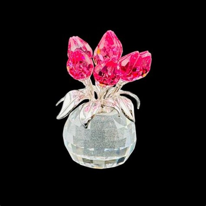 Nao Hibino Net Worth: Career, Family, Age, Income, Wiki, Bio, All You Need to Know - SarkariResult