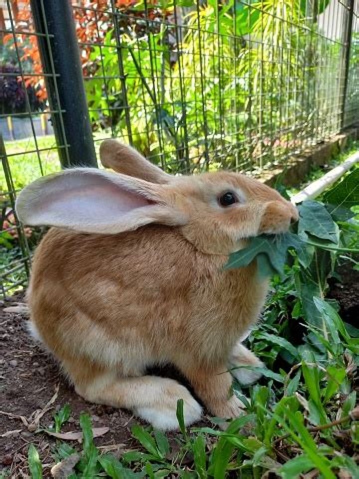 Amber Rex, a Teacher at Ohio State Beauty Academy Died in a Car Accident