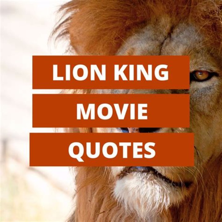 100 Life Changing Quotes from The Lion King Movie